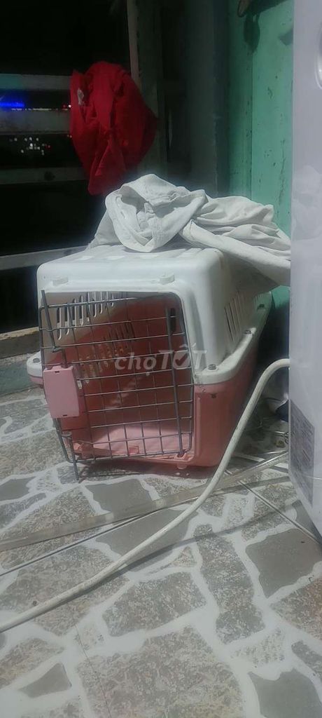 Lồng vận chuyển chó mèo Size M. Mua bán Phụ kiện, Thức ăn, Dịch vụ tại Quận Bình Thạnh Tp Hồ Chí Minh được đăng bởi olaalo hình 1
