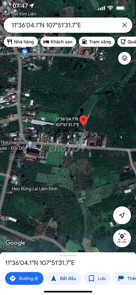 Gia đình kẹt tiền, bán gấp lô đất 1500m ở TP Bảo Lộc
