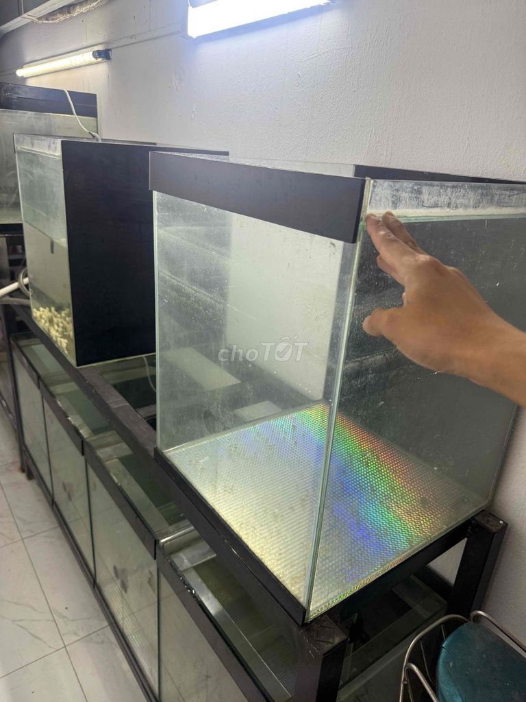 Hồ cá kính 40x40x cao 50cm. Mua bán Thú cưng khác tại Quận 8 Tp Hồ Chí Minh được đăng bởi Thắng hình 1