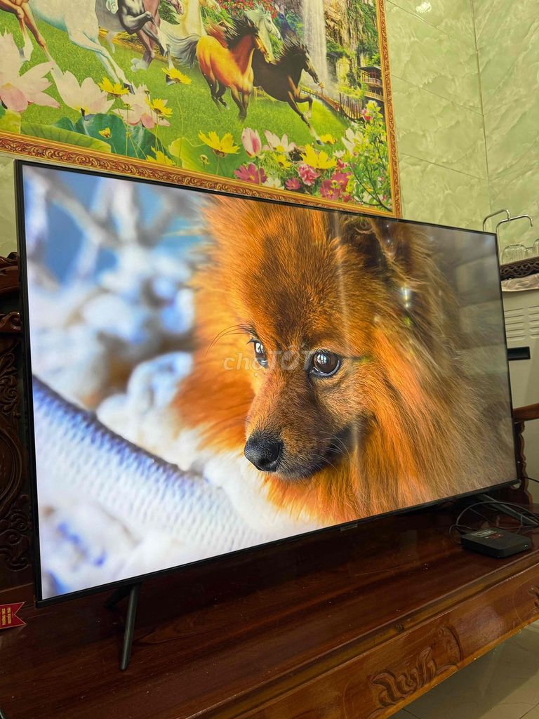 tivi 50in sony còn mới. Mua bán Tivi, Âm thanh tại Thành phố Vũng Tàu Bà Rịa - Vũng Tàu được đăng bởi Đồ Điện Tử Gia Đình Vũng Tàu hình 1