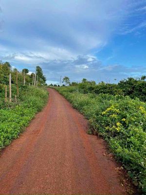 đất rẫy đất xào. Mua bán đất tại Thành phố Thủ Đức Tp Hồ Chí Minh được đăng bởi Võ Linh