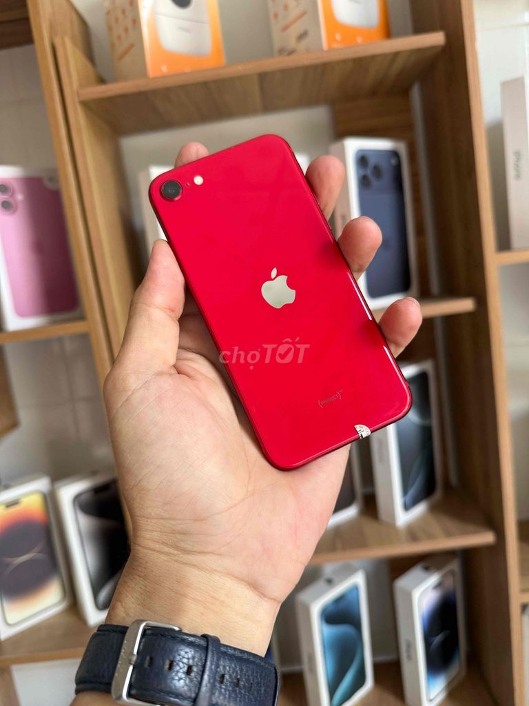 Iphone SE 2020 64gb Qte Zin Full chức năng Pin 100. Mua bán Điện thoại tại Quận Ninh Kiều Cần Thơ được đăng bởi PHỤNG PRO MOBILE CAN THO hình 1