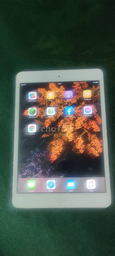Apple iPad Mini Trắng Hư nút nguồn. Mua bán Máy tính bảng tại Quận Bình Tân Tp Hồ Chí Minh được đăng bởi Hội Đồ Điện Tử hình 1