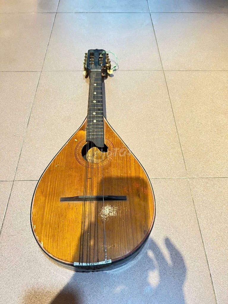 Đàn Mandolin Cổ điển Đã qua sử dụng. Mua bán Nhạc cụ tại Quận Hai Bà Trưng Hà Nội được đăng bởi Lê Nga đồ xưa hình 1