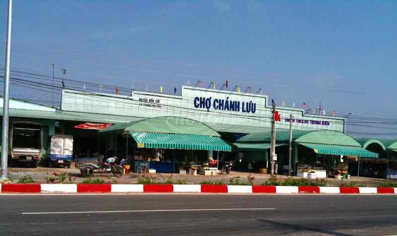 BÁN ĐẤT MẶT TIỀN ĐƯỜNG NHỰA – HÒA LỢI, BÌNH DƯƠNG CŨ