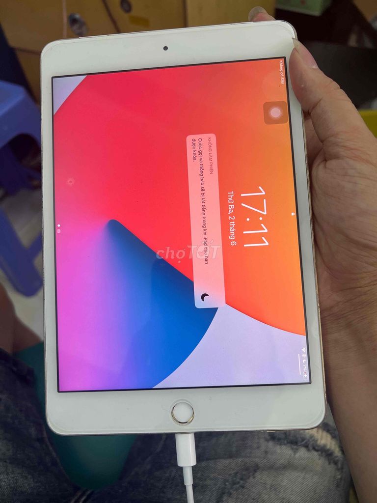 Apple iPad mini 4 32GB Vàng Đã qua sử dụng. Mua bán Máy tính bảng tại Quận Hai Bà Trưng Hà Nội được đăng bởi Tuấn Nguyễn hình 1