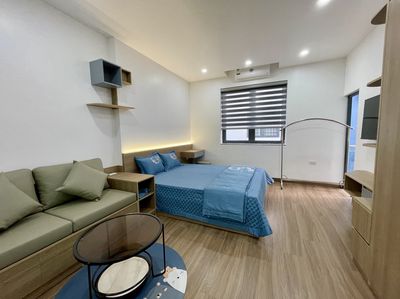 Cho thuê căn hộ cao cấp Waterfront City, 1 ngủ tách bếp (40m2)