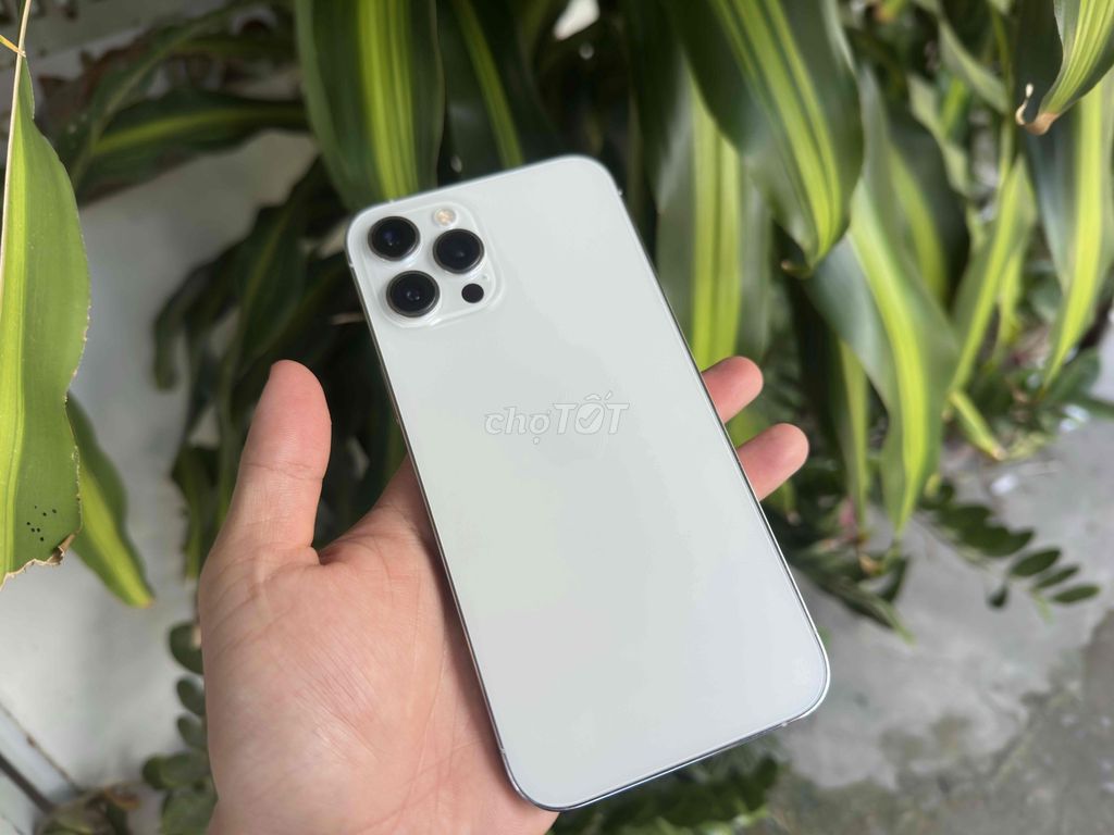 Apple iPhone 12 Pro Max 128GB Trắng. Mua bán Điện thoại tại Quận Ninh Kiều Cần Thơ được đăng bởi ĐIỆN THOẠI GIÁ TỐT UY TÍN  hình 1