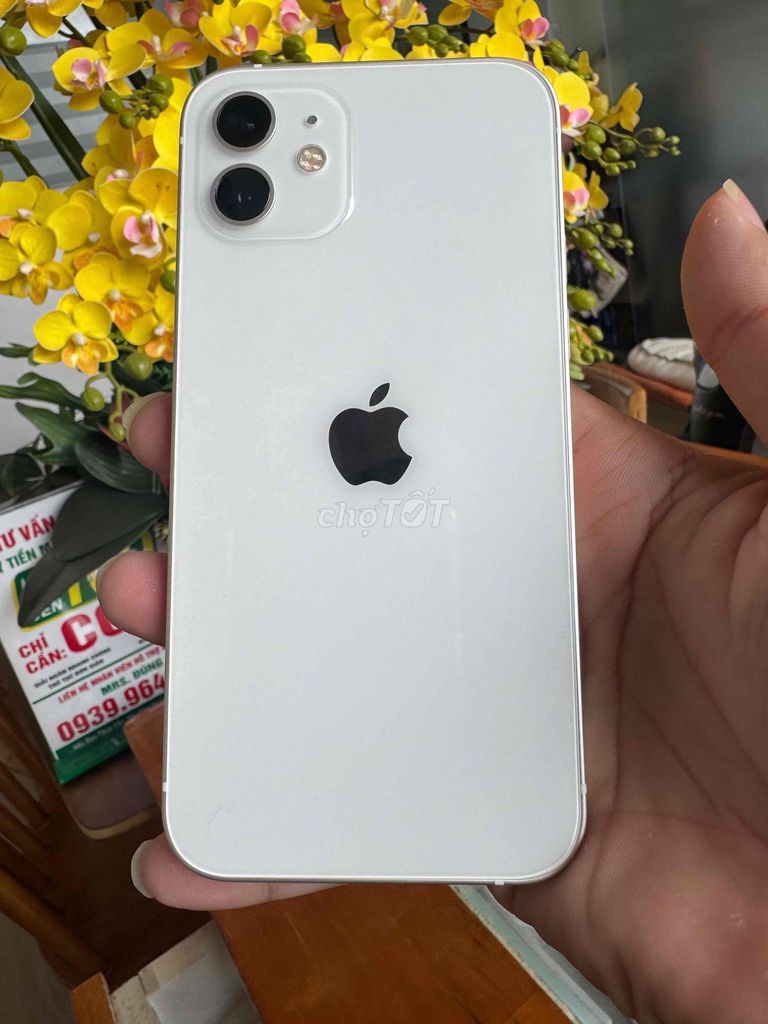 Apple iPhone 12 64GB Trắng 96%. Mua bán Điện thoại tại Quận Ninh Kiều Cần Thơ được đăng bởi Khải mobile hình 1