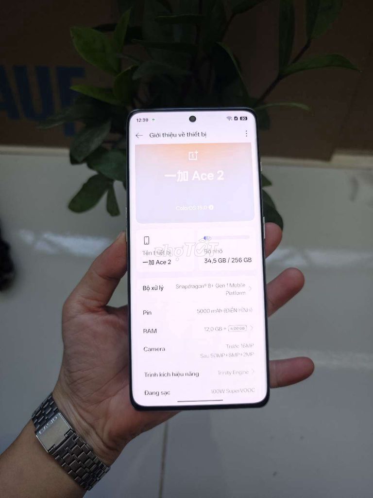 OnePlus Ace 2 Ram 12/256GB Xanh. Mua bán Điện thoại tại Quận Gò Vấp Tp Hồ Chí Minh được đăng bởi Ánh Tuyết hình 1
