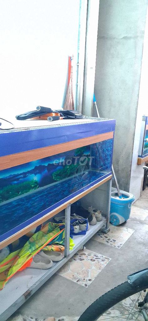 Bể cá cảnh. Mua bán Phụ kiện, Thức ăn, Dịch vụ tại Thành phố Biên Hòa Đồng Nai được đăng bởi Vuong Nguyen hình 1