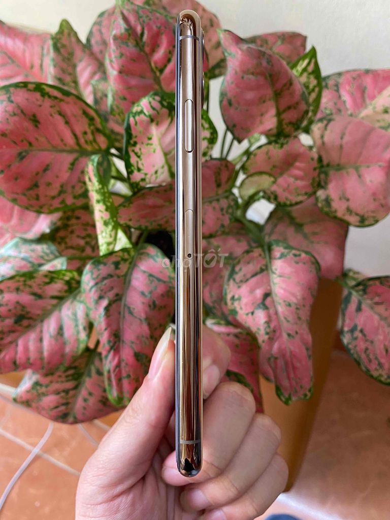 11prm 256 gb gold. Mua bán Điện thoại tại Quận Cầu Giấy Hà Nội được đăng bởi Long blue 9x hình 3