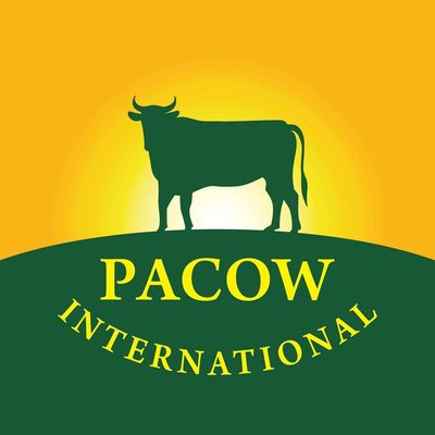 Công Ty Tnhh Pacow International