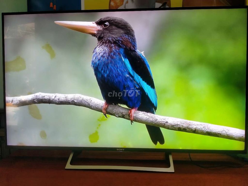 Tivi Sony 55X8500E