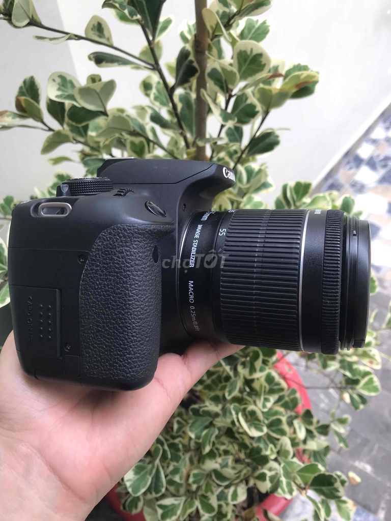 canon 700d 18-55mm stm , 50mm II