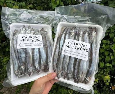 Cá trứng nauy. Mua bán Đồ ăn, thực phẩm và các loại khác tại Thành phố Thủ Đức Tp Hồ Chí Minh được đăng bởi Hồng Nga