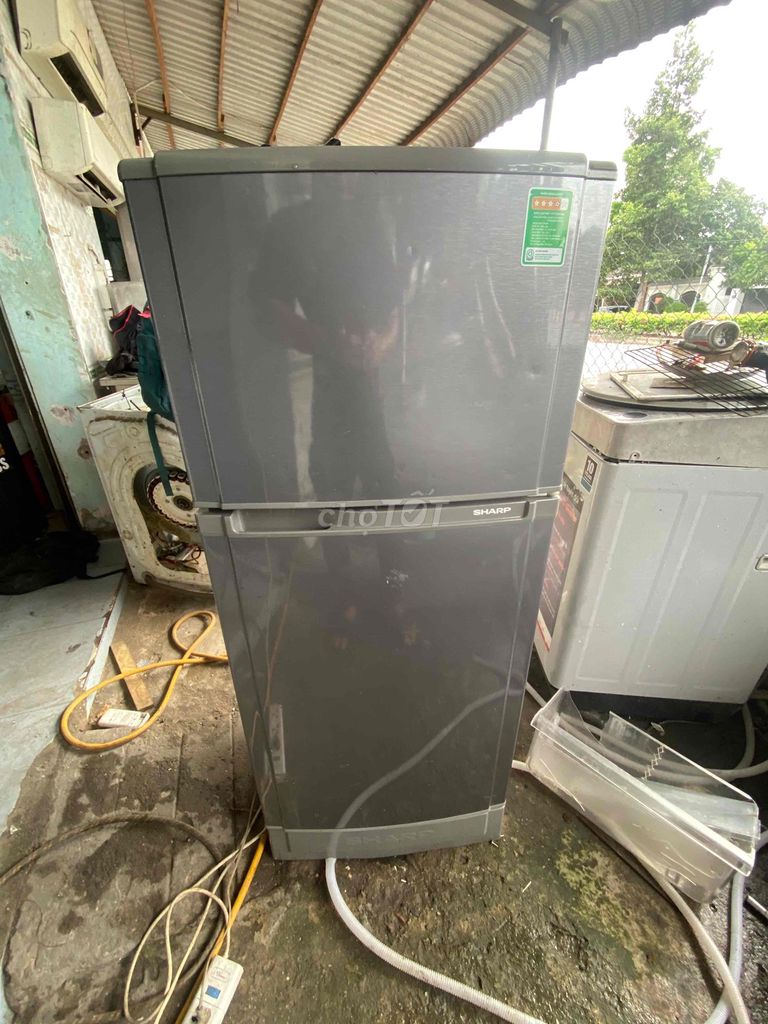 Tủ lạnh Sharp 165L Xám. Mua bán Tủ lạnh tại Thành phố Thủ Dầu Một Bình Dương được đăng bởi hồ hiếu nghĩa hình 1