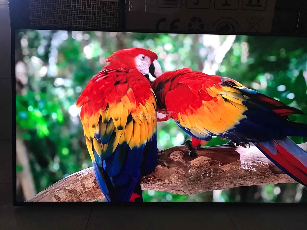 Smart Tivi LG 50 inch 4K giọng nói. Mua bán Tivi, Âm thanh tại Huyện Đất Đỏ Bà Rịa - Vũng Tàu được đăng bởi Thiện Lành hình 1