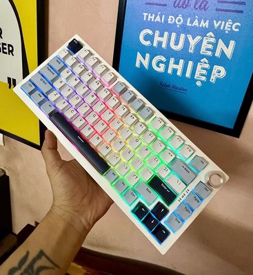 Bàn phím K81 | 3 mode | Mạch Xuôi | Gasket. Mua bán Phụ kiện (Màn hình, Chuột...) tại Quận Nam Từ Liêm Hà Nội được đăng bởi DH KEYBOARD