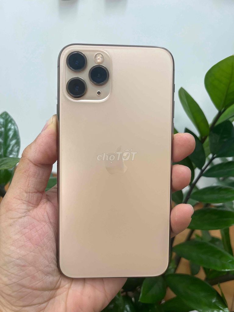 Apple iPhone 11 Pro 256GB Vàng quốc tế. Mua bán Điện thoại tại Quận Gò Vấp Tp Hồ Chí Minh được đăng bởi Tuấn Phát hình 1