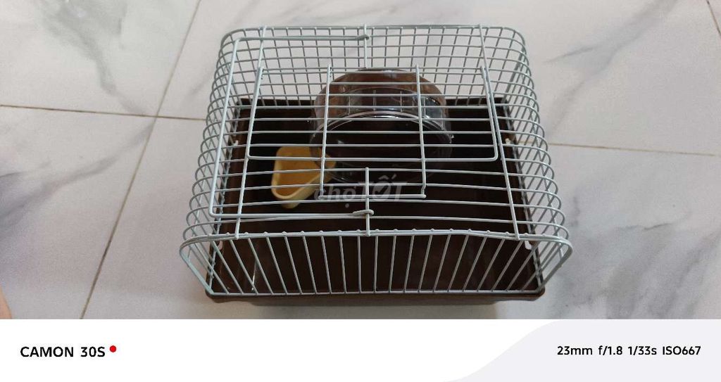 Lồng nuôi Chuột Hamster Kim loại Trắng. Mua bán Phụ kiện, Thức ăn, Dịch vụ tại Huyện Trảng Bom Đồng Nai được đăng bởi Đinh Tuấn hình 1