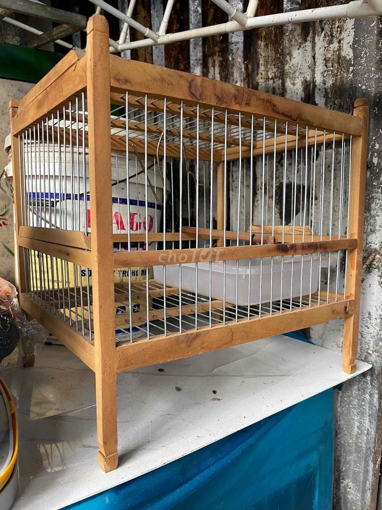 Lồng tắm chim Gỗ Kim loại Nâu Mới. Mua bán Phụ kiện, Thức ăn, Dịch vụ tại Thành phố Huế Thừa Thiên Huế được đăng bởi Dong ho hình 1