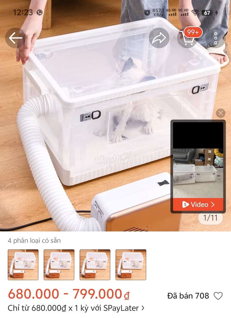 Hộp sấy lông thú cưng Nhựa Mới 99%. Mua bán Phụ kiện, Thức ăn, Dịch vụ tại Quận Bình Tân Tp Hồ Chí Minh được đăng bởi N T P hình 1