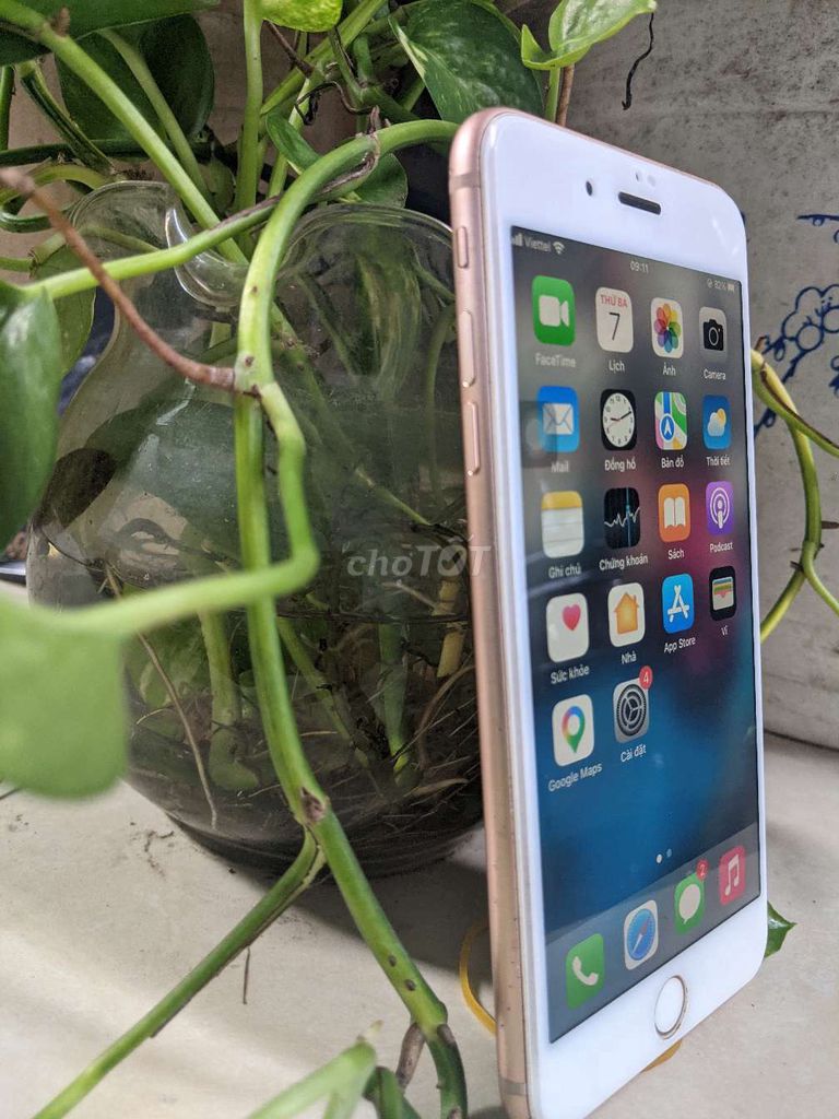 Apple iPhone 8 Plus 64GB Vàng 90%. Mua bán Điện thoại tại Thành phố Biên Hòa Đồng Nai được đăng bởi Glak hình 1