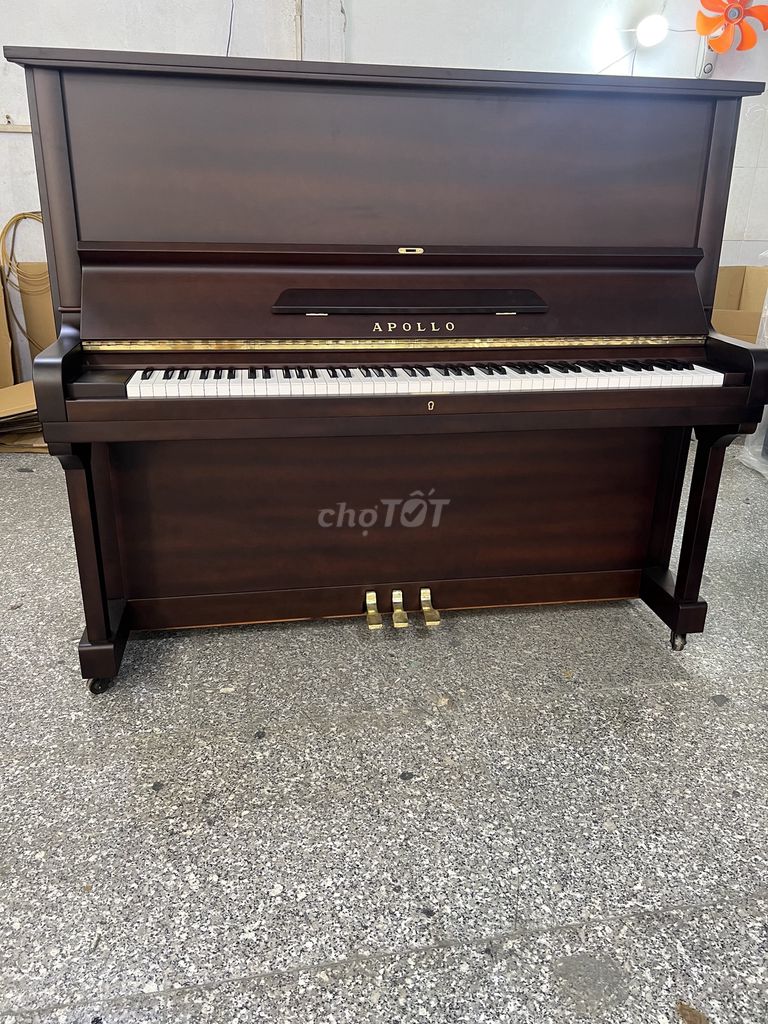 Piano Apollo Walnut