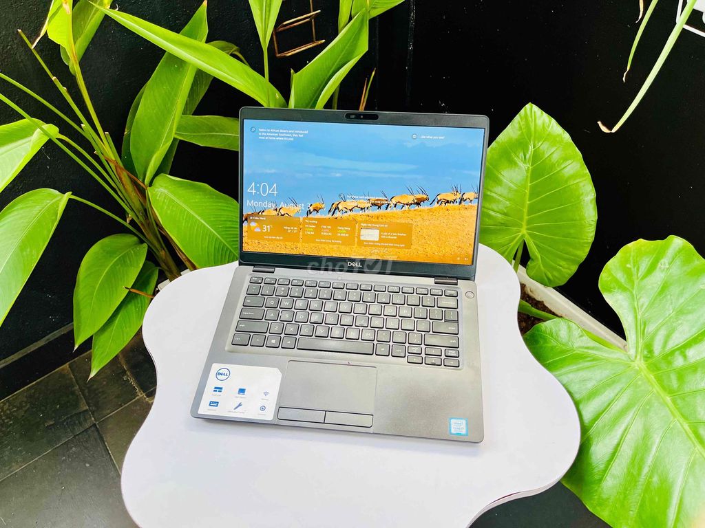 Dell Latitude 5300 i7-8th/8GB/256GB/13,3"FHD. Mua bán Laptop tại Quận Lê Chân Hải Phòng được đăng bởi Nguyễn Hải Duy hình 1