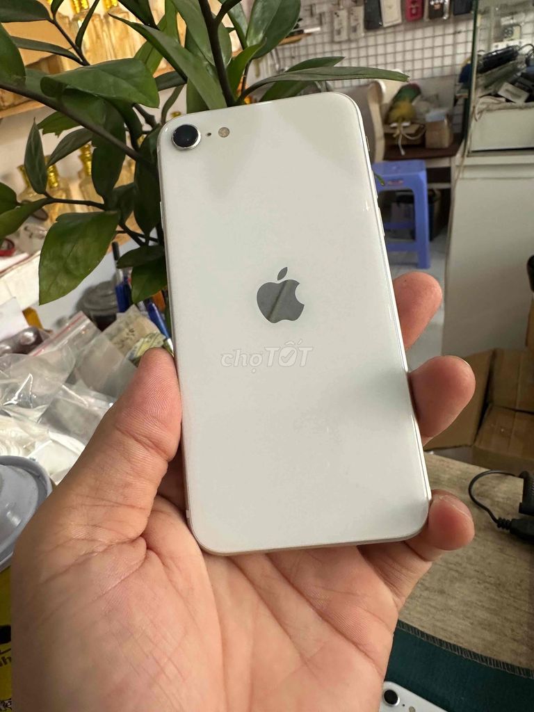 Apple iPhone SE 2020 64GB Trắng. Mua bán Điện thoại tại Thành phố Dĩ An Bình Dương được đăng bởi junstar store hình 1