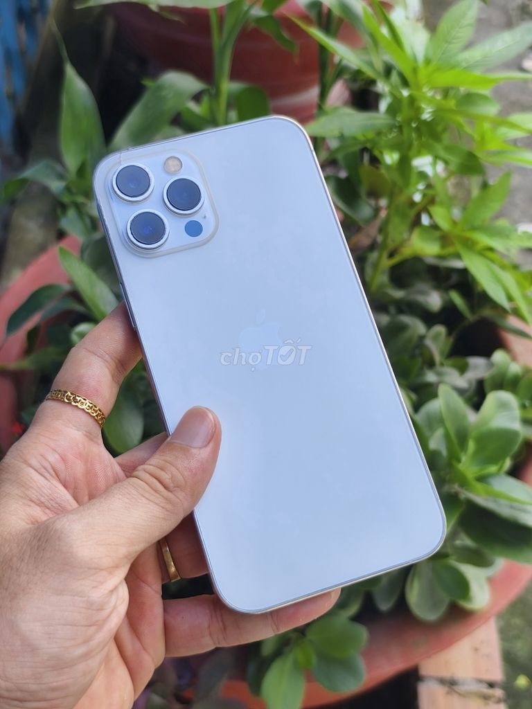 iPhone 12 Pro Max 256GB QT – Flagship Cực Đáng Mua. Mua bán Điện thoại tại Huyện Châu Phú An Giang được đăng bởi Nguyễn hình 1