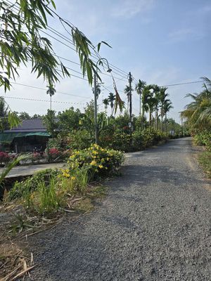 Căn Nhà Ngoại Ô. Mua bán đất tại Huyện Mang Thít Vĩnh Long được đăng bởi Gia Thịnh 