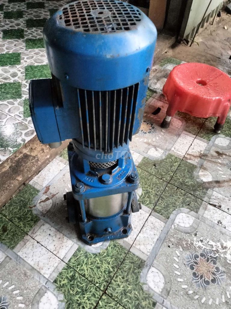 Máy bơm nước DP Pumps DPL4 40. Mua bán Đồ chuyên dụng, Giống nuôi trồng tại Huyện Cần Giuộc Long An được đăng bởi Ân hình 1
