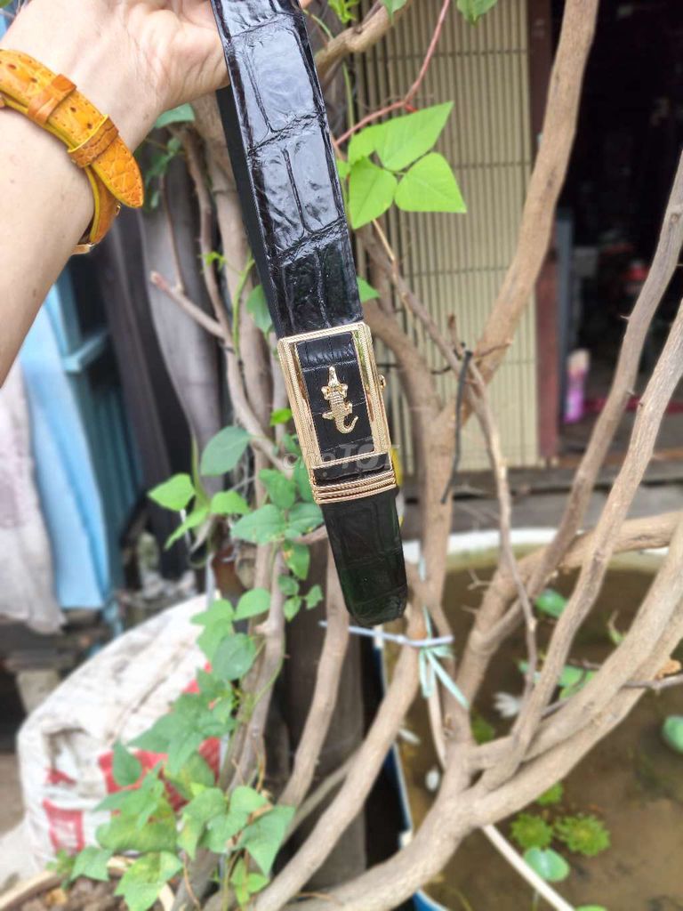 Dây nịt nam da cá sấu Đen. Mua bán Phụ kiện thời trang khác tại Huyện An Phú An Giang được đăng bởi THẮNG ĐỒ DA hình 1