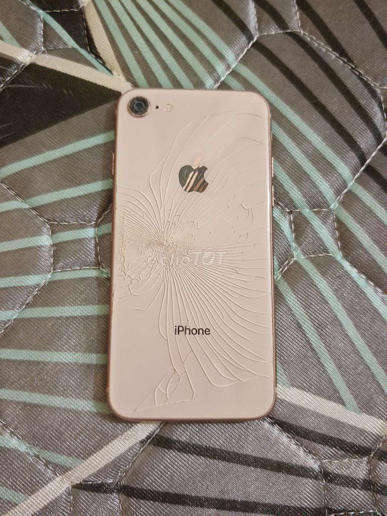 Apple iPhone 8 8GB Vàng hồng. Mua bán Điện thoại tại Thành phố Biên Hòa Đồng Nai được đăng bởi Tuấn nguyễn hình 1
