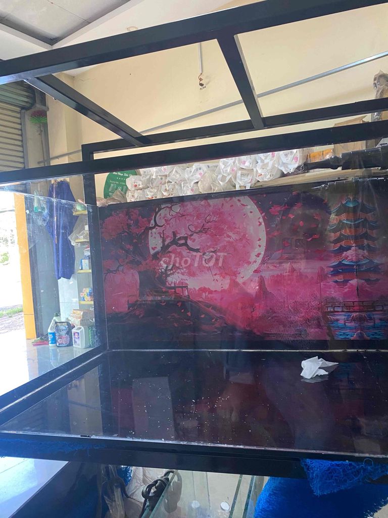 Bể cá 100x60x50 cm. Mua bán Phụ kiện, Thức ăn, Dịch vụ tại Thành phố Phủ Lý Hà Nam được đăng bởi nguyễn lê công tuấn hình 1