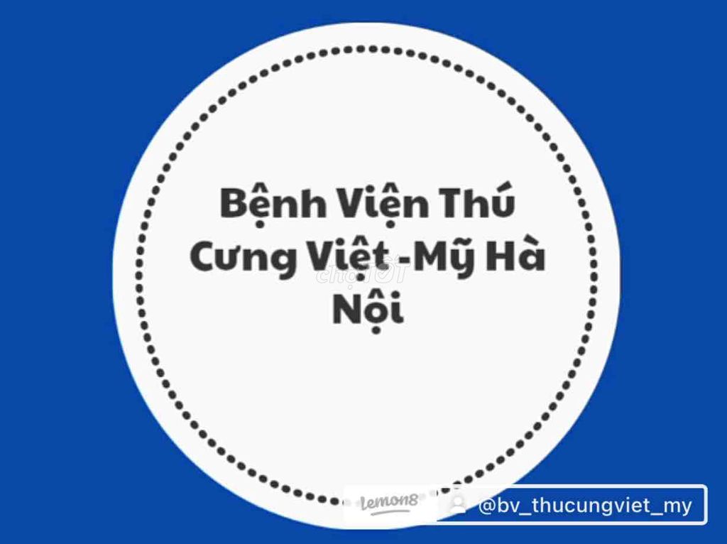 #BIẾN_HÌNH_CHÓ_CŨ_THÀNH_CHÓ_MỚI