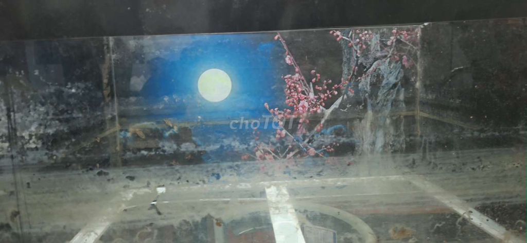 Hồ cá 60x40x40 cm đã dán nền. Mua bán Phụ kiện, Thức ăn, Dịch vụ tại Quận Gò Vấp Tp Hồ Chí Minh được đăng bởi nguyễn trọng nghia hình 1