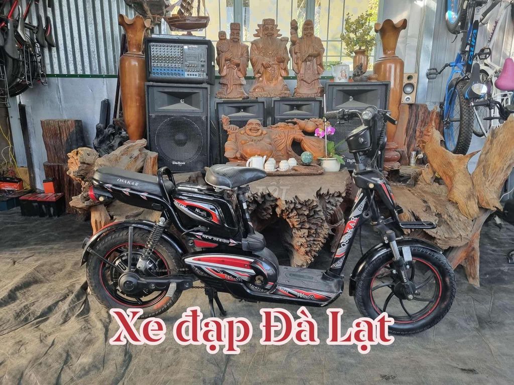 Xe đạp điện Osakar 133 màu Đen. Mua bán Xe điện tại Thành phố Đà Lạt Lâm Đồng được đăng bởi quang le hình 1