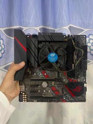 Rã dàn giá dưới bài đăng