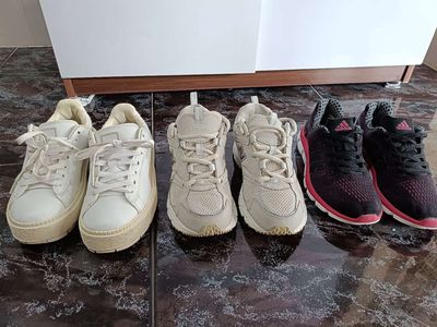 Giày thể thao ( size 36..36.5 chính hãng 100%). Mua bán Giày dép tại Quận Bình Thuỷ Cần Thơ được đăng bởi Thơ Nguyễn 