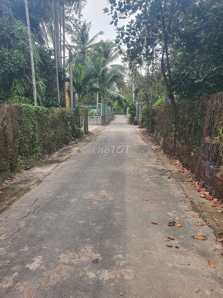 ĐẤT AN THẠNH 19 ,SÁT BÊN CHỢ BÚNG. Mua bán đất tại Thành phố Thuận An Bình Dương được đăng bởi Tân Nguyễn hình 2