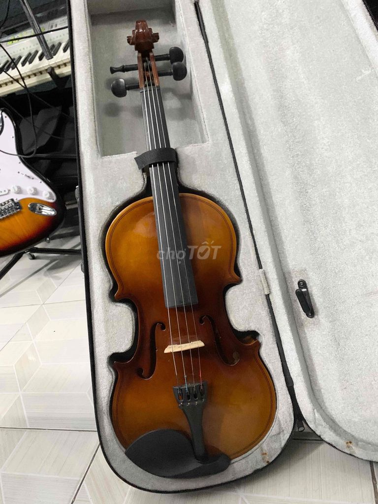 Đàn Violin Size 4/4