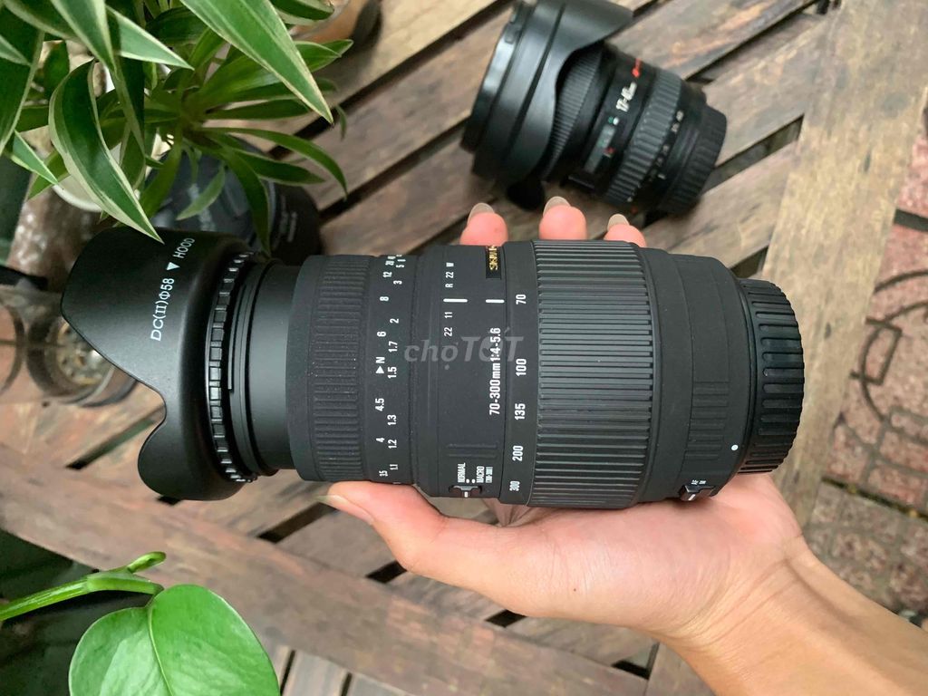 Bán sigma 70-300 mới keng cho canon ạ