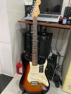 Fender Mexico 99%