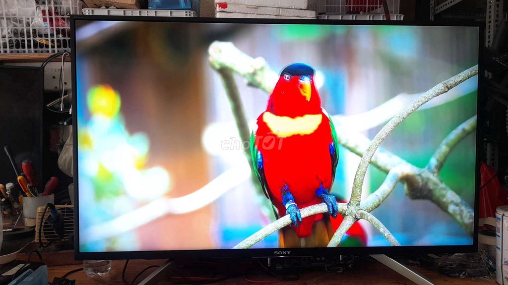 Tivi Sony X8000E. Mua bán Tivi, Âm thanh tại Quận Hải Châu Đà Nẵng được đăng bởi A Hiến hình 1