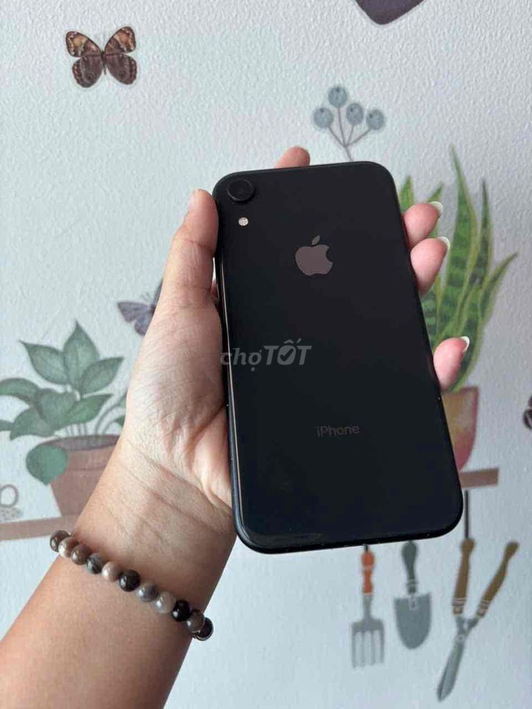 Apple iPhone XR 64GB. Mua bán Điện thoại tại Quận 3 Tp Hồ Chí Minh được đăng bởi Kim Nhi hình 1