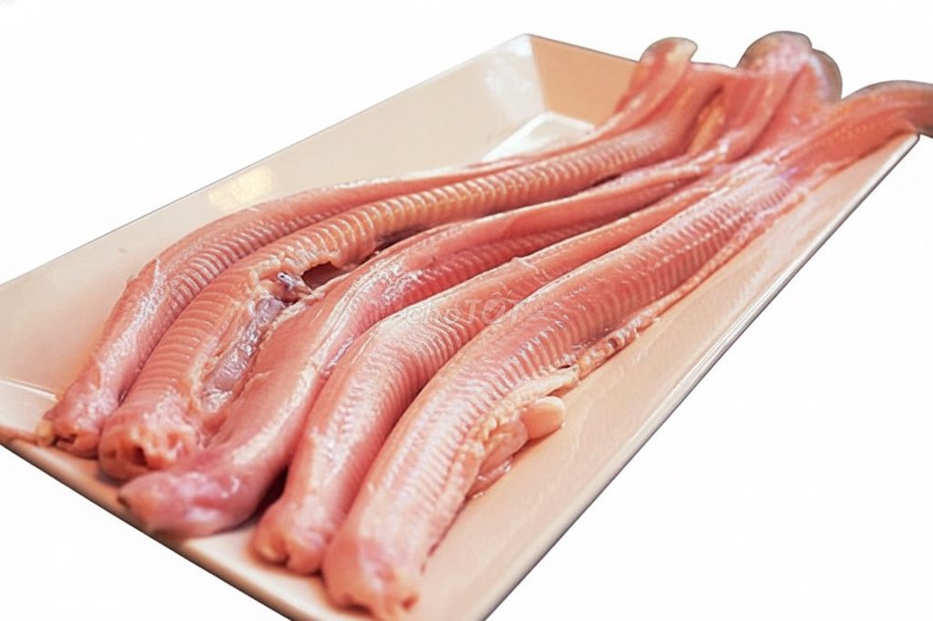 Cá mút đá dai giòn. Mua bán Đồ ăn, thực phẩm và các loại khác tại Quận Liên Chiểu Đà Nẵng được đăng bởi Hải Sản Đà Thành hình 1