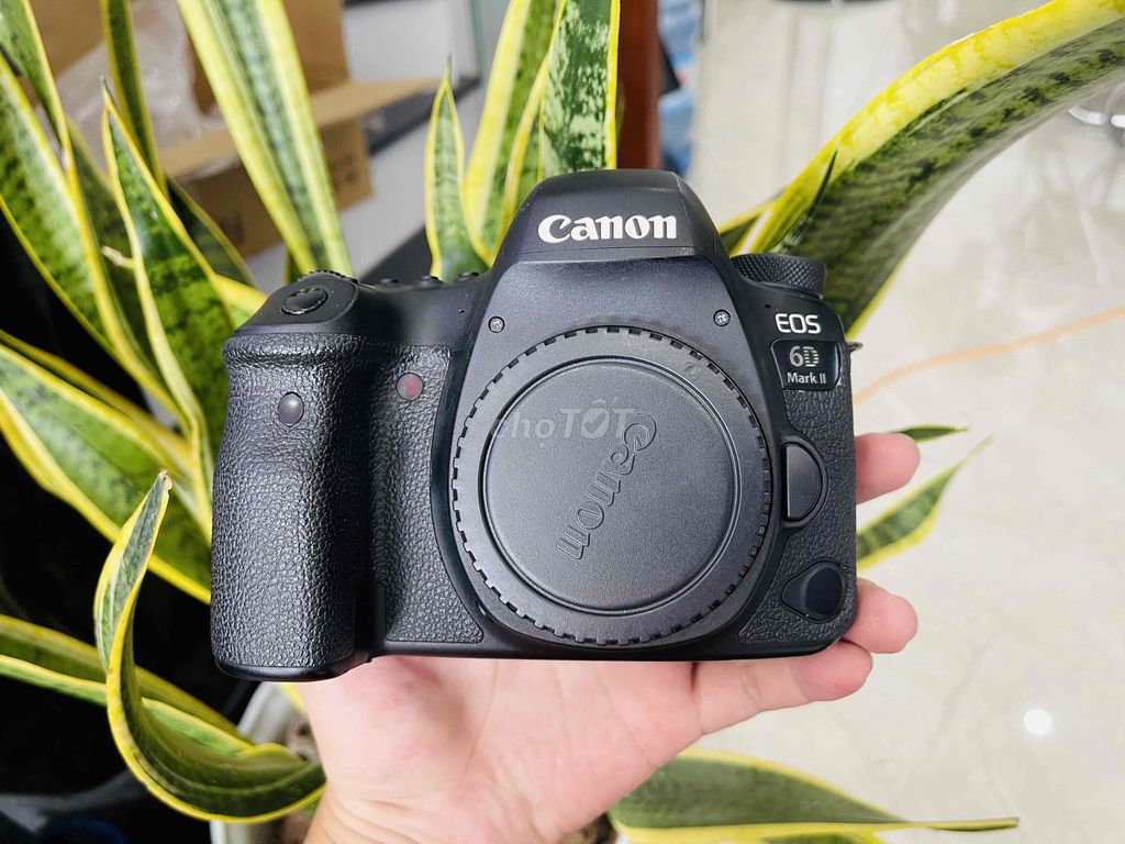 🔴 CANON EOS 6D MARK II (6D2) BH12T